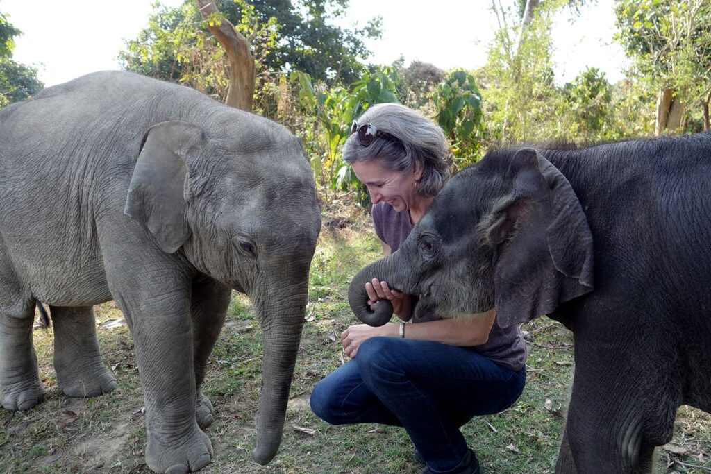 Beth Allgood smling petting two elephants